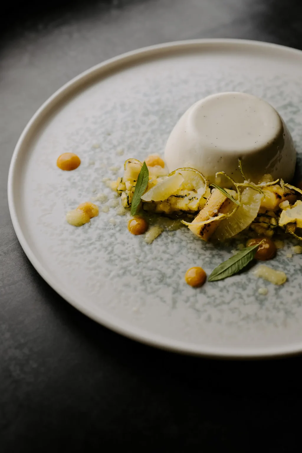 food & drink desserts pannacotta close portrait spring